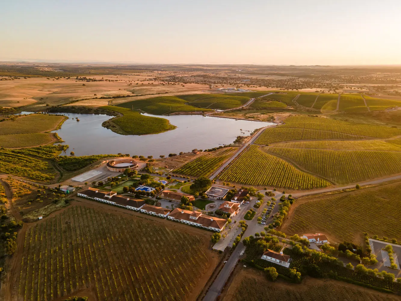 VG-Alentejo-Vineyards-Aerea-3