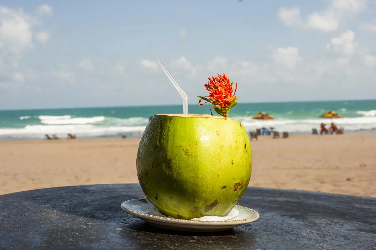 Cervejaria Portuguesa – Vila Galé Fortaleza