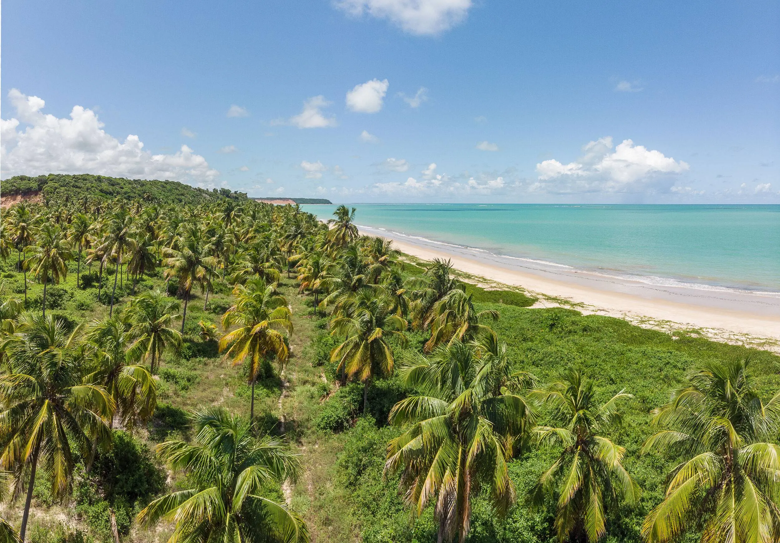 VG-Alagoas-Aereas-8