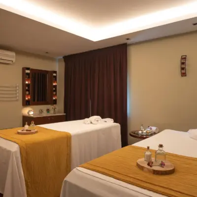 VG-Alentejo-Vineyards-Satsanga-Spa-4