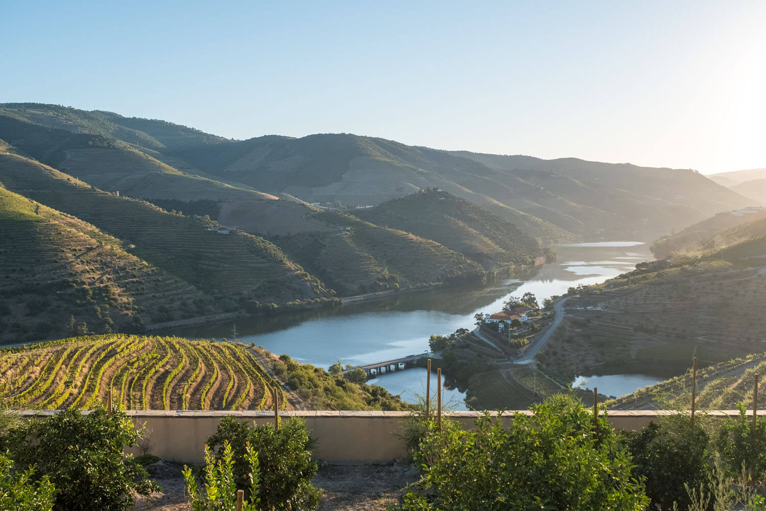 Vila Galé Douro Vineyards