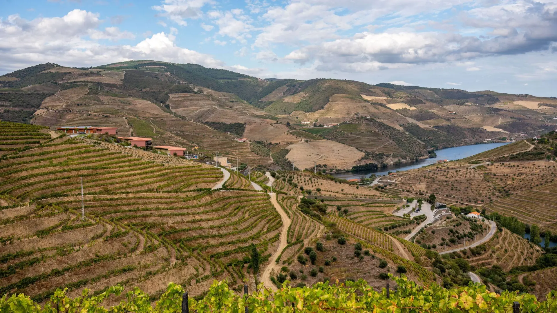 feelDouro-87