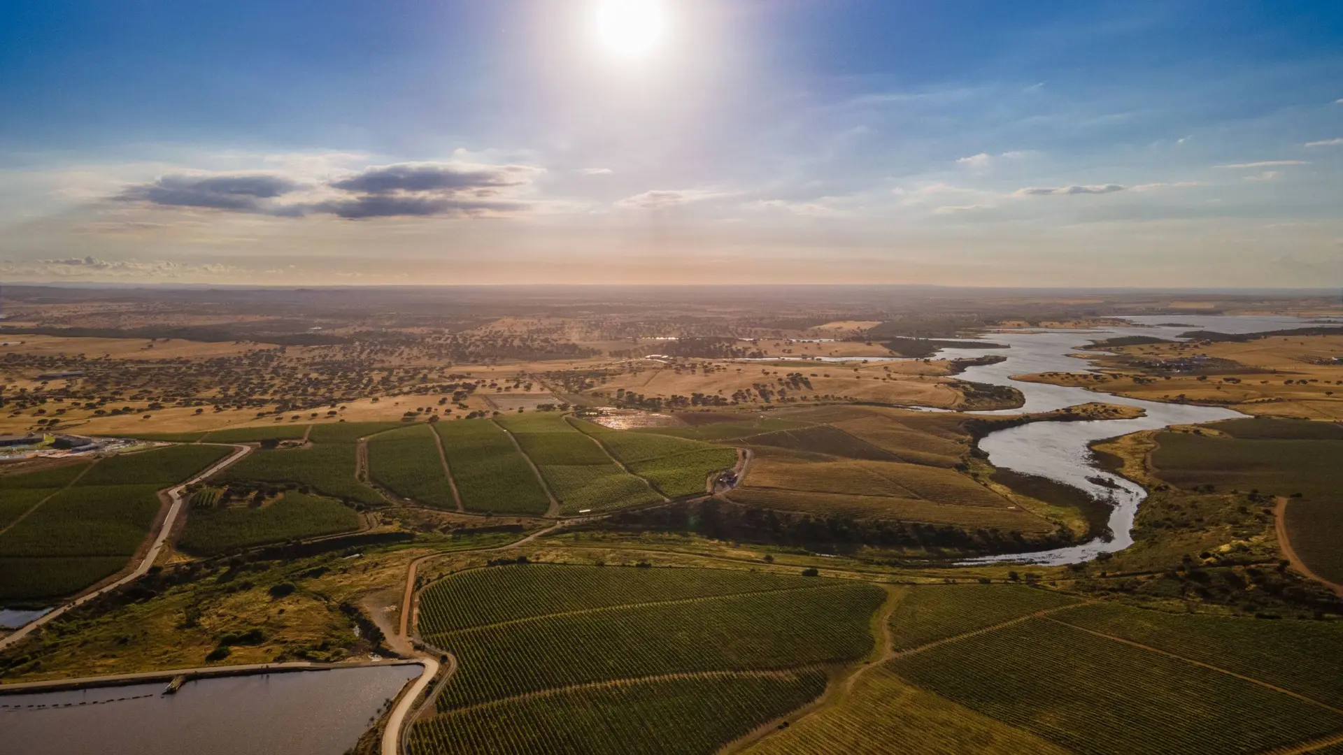 vila-gale-alentejo-vineyards-vista-aerea_10