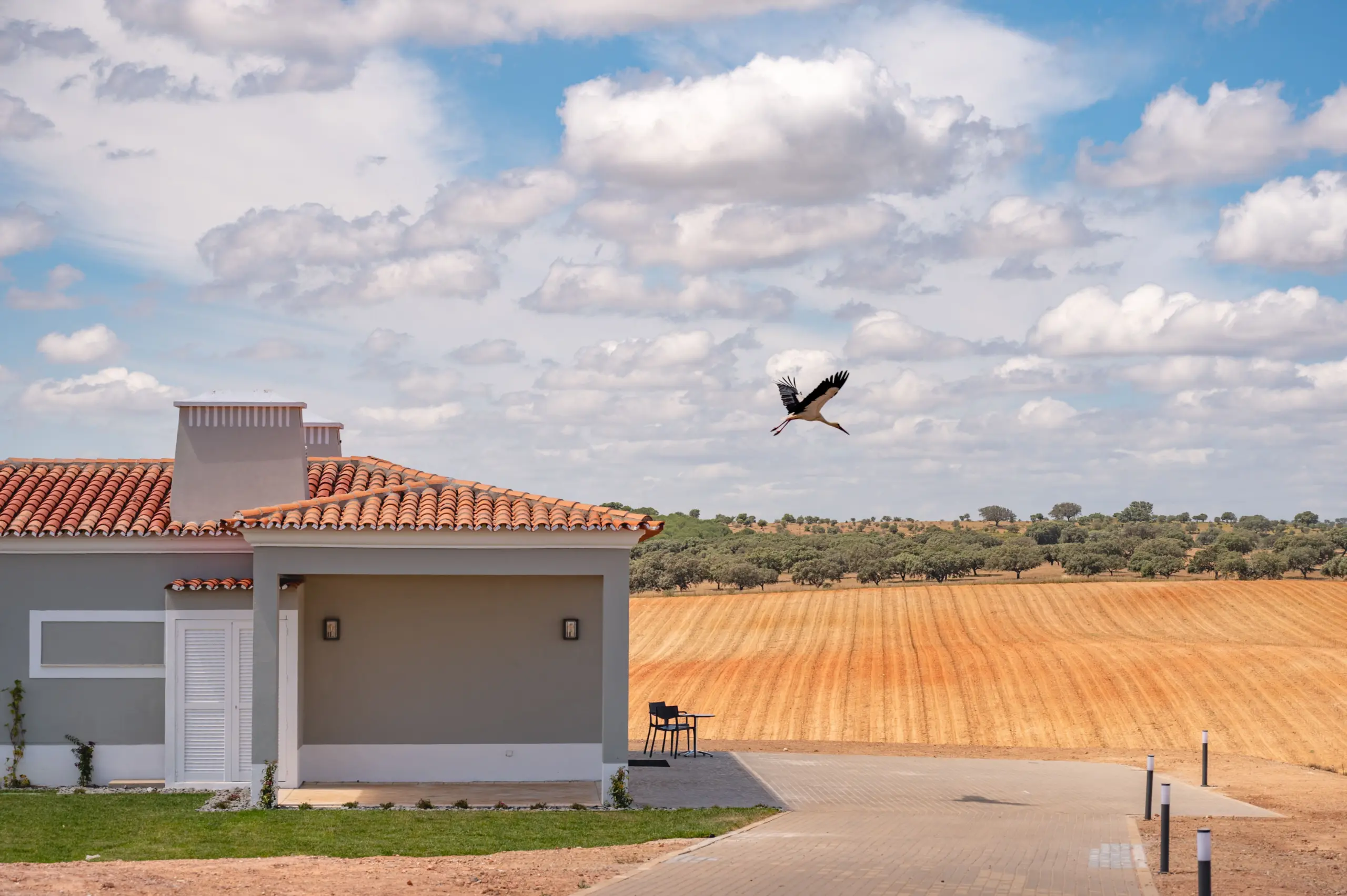 VG_MonteVilar-18 (1)