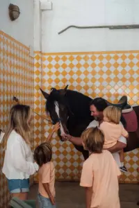 vg-experiencia-familia-equestre-6_baixa
