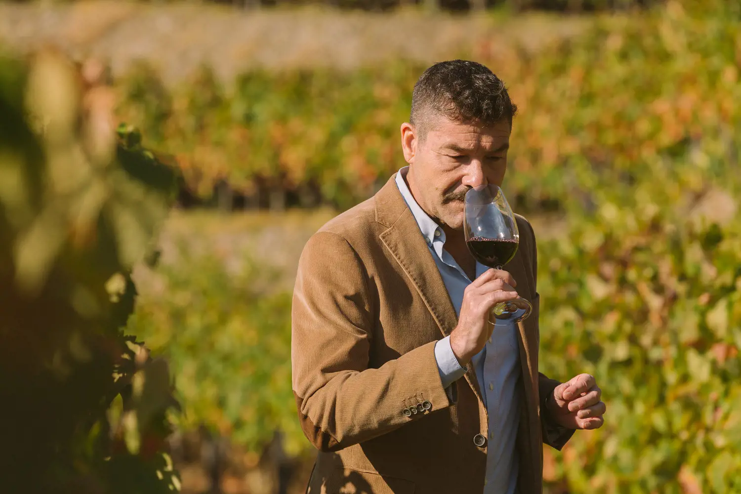 marcantonio-x-vg-douro-vineyards_208