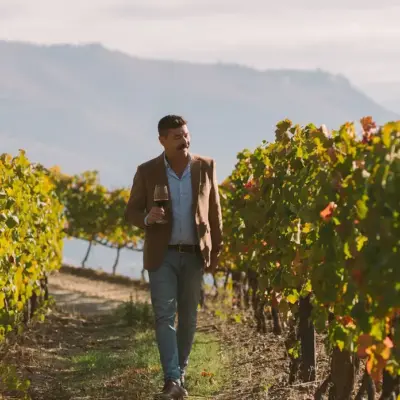 marcantonio-x-vg-douro-vineyards_182
