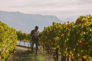 marcantonio-x-vg-douro-vineyards_170