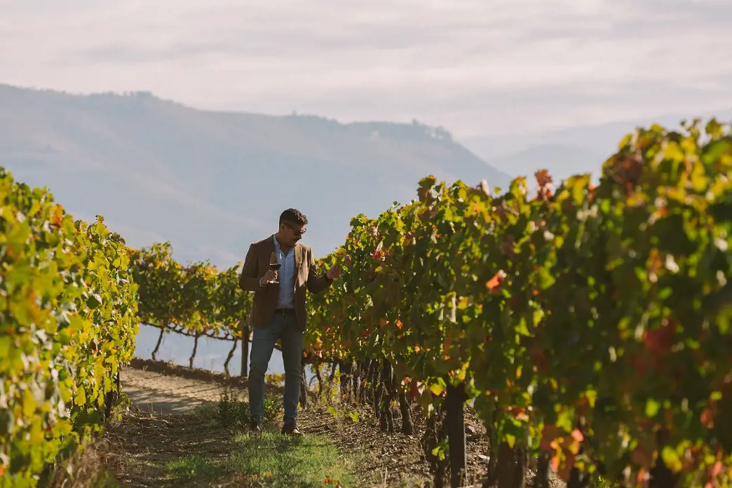 marcantonio-x-vg-douro-vineyards_170