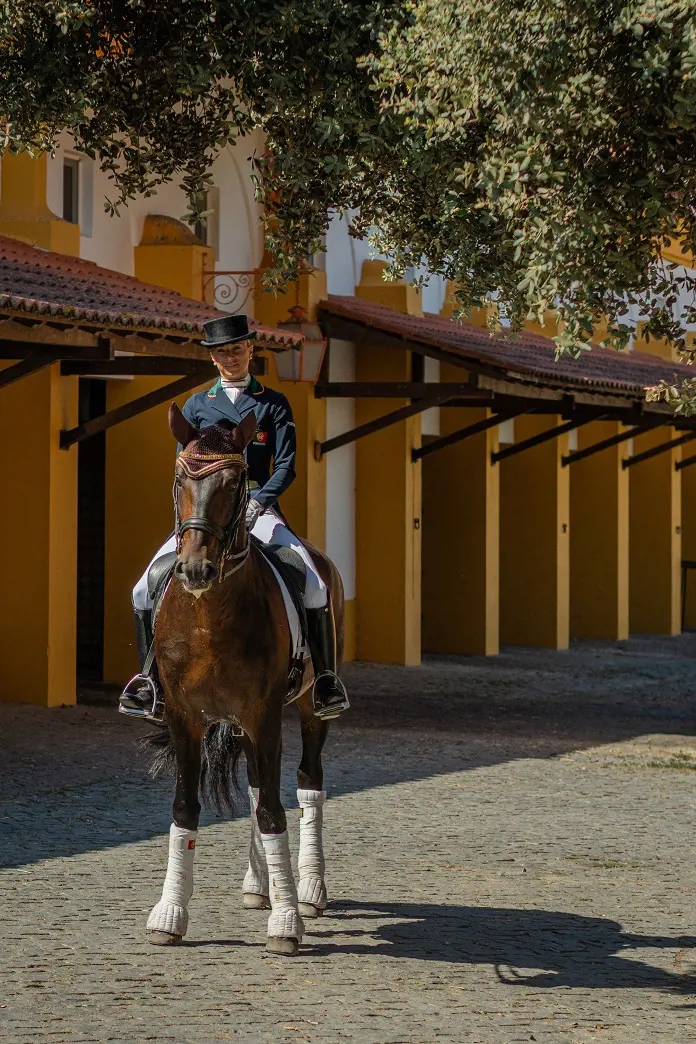 vg-experiencia-equestre-4