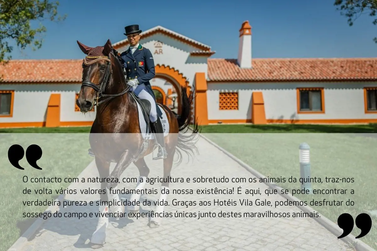 experiências-equestres-frase-pt
