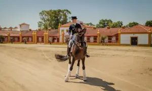 vg-experiencia-equestre-8