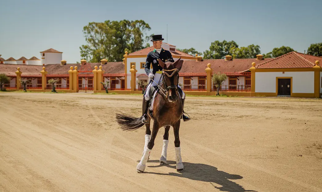 vg-experiencia-equestre-8