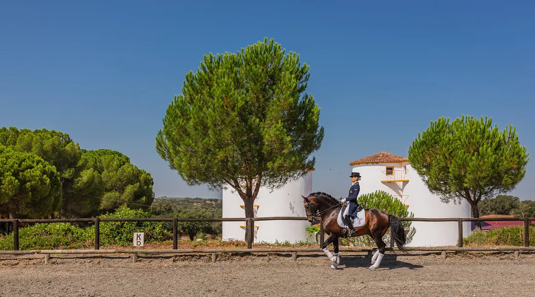 vg-experiencia-equestre-2
