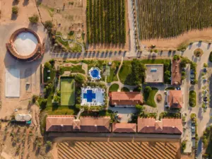 vg-alentejo-vineyards-aerea-2_baixa