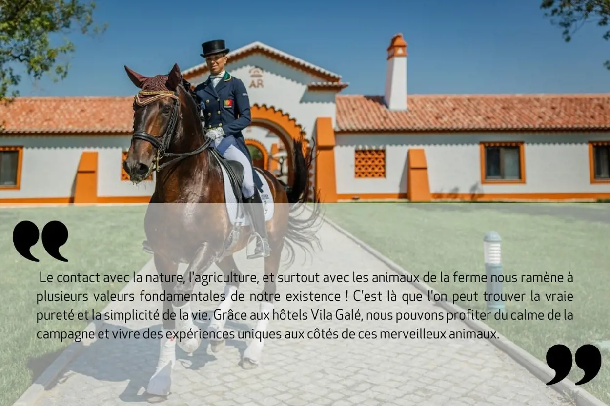 experiências-equestres-frase-fr