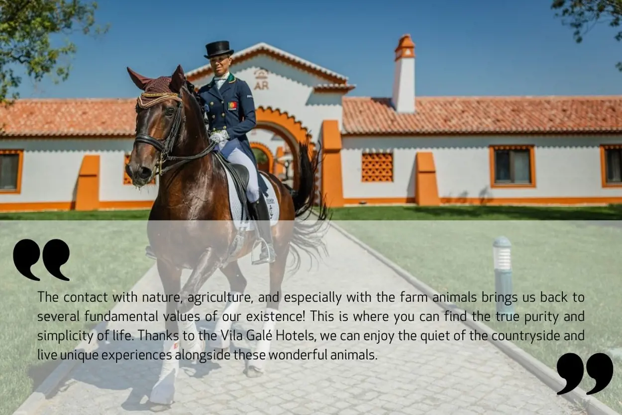 experiências-equestres-frase-en