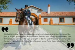 experiências-equestres-frase-de