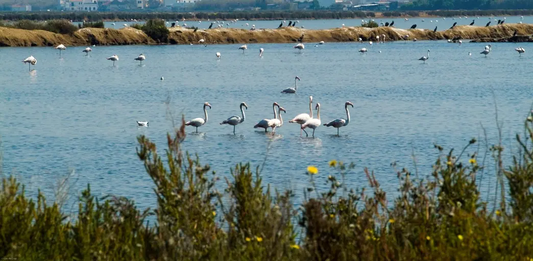 AS BELAS PRAIAS DO SUL