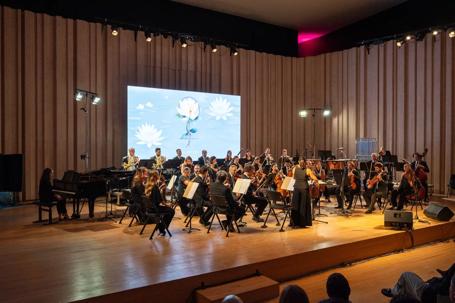 Concerto de Homenagem à Mulher