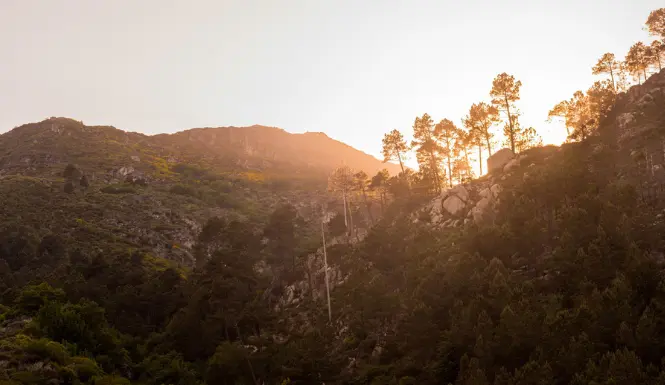Vila Galé convida a reflorestar a Serra da Estrela