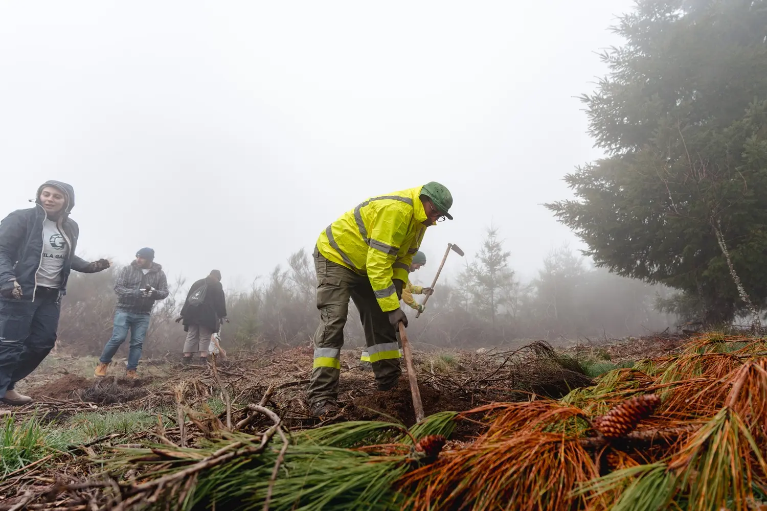 Vila Galé convida a reflorestar a Serra da Estrela