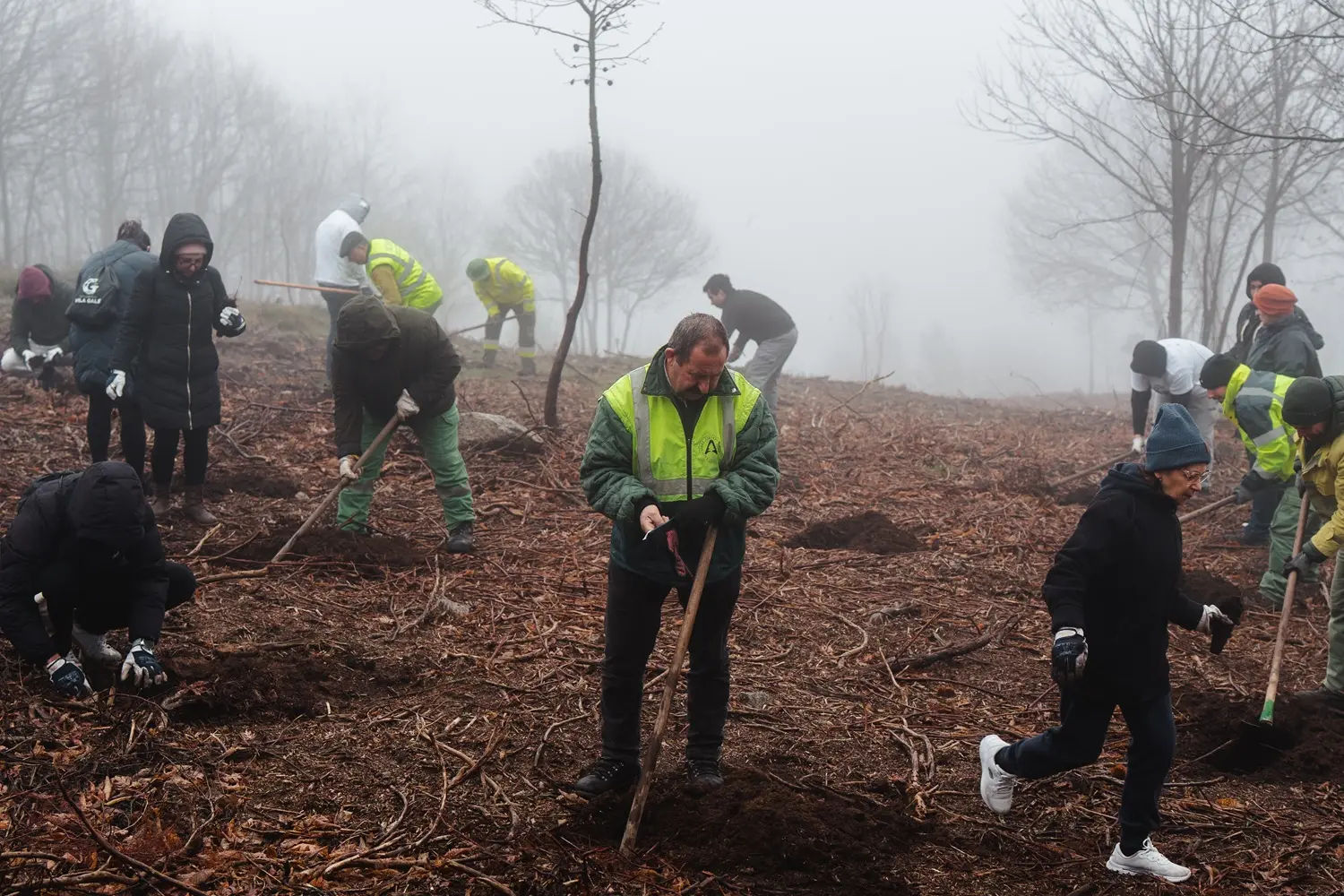Vila Galé convida a reflorestar a Serra da Estrela