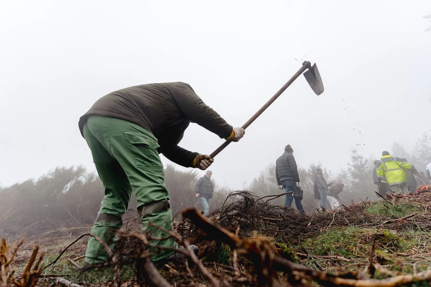 Vila Galé convida a reflorestar a Serra da Estrela