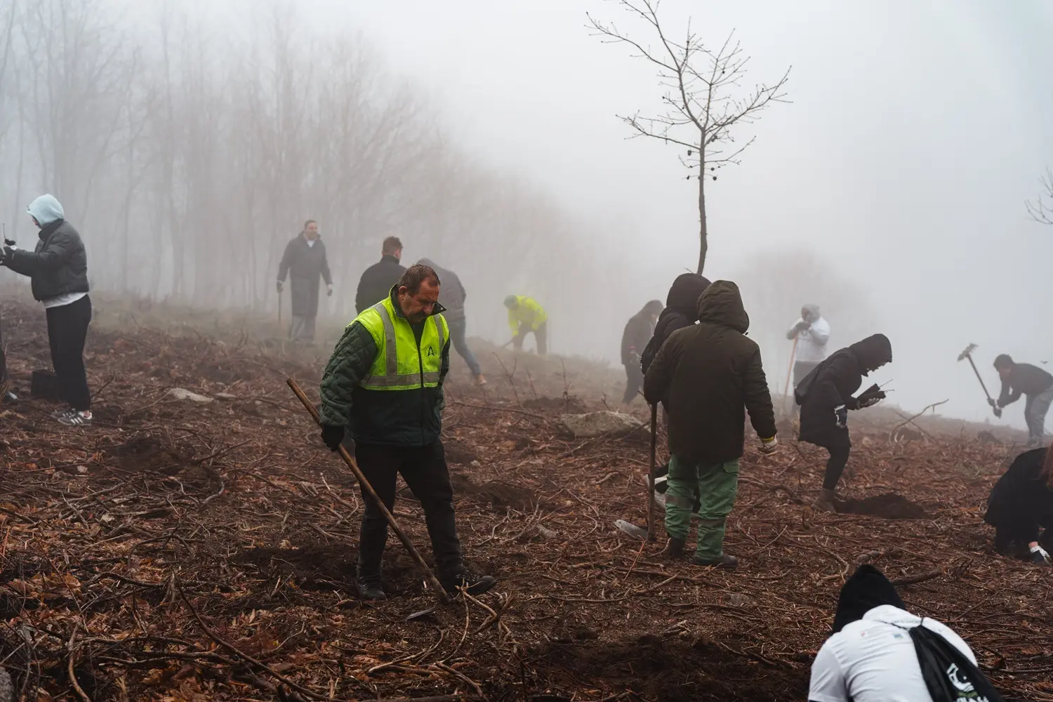 Vila Galé convida a reflorestar a Serra da Estrela