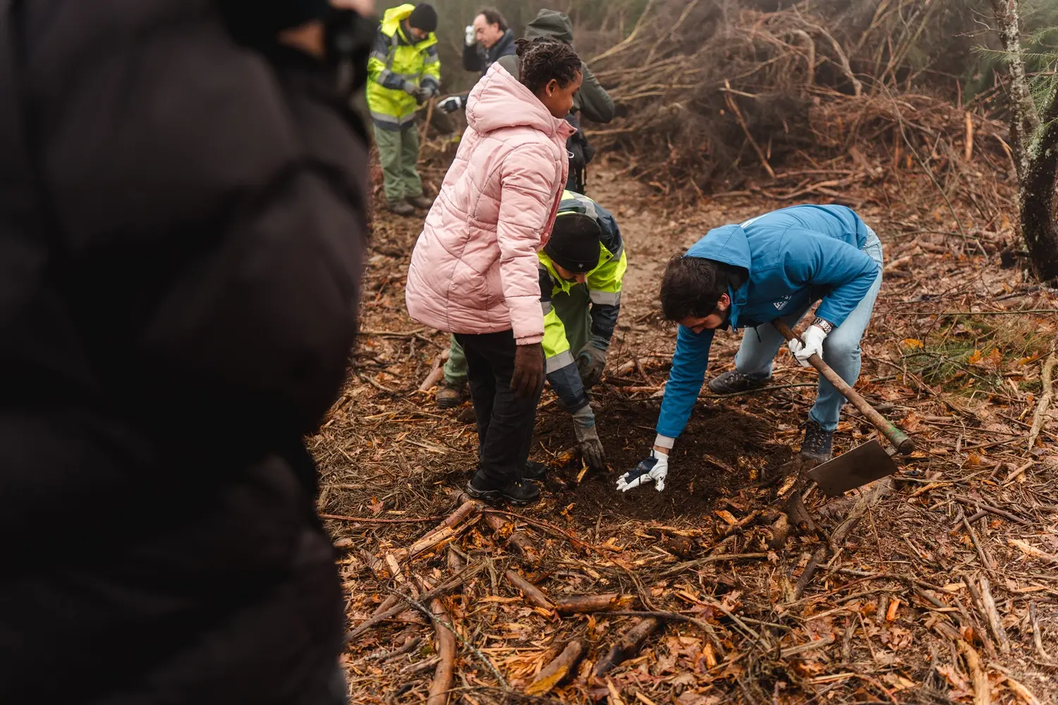 Vila Galé convida a reflorestar a Serra da Estrela