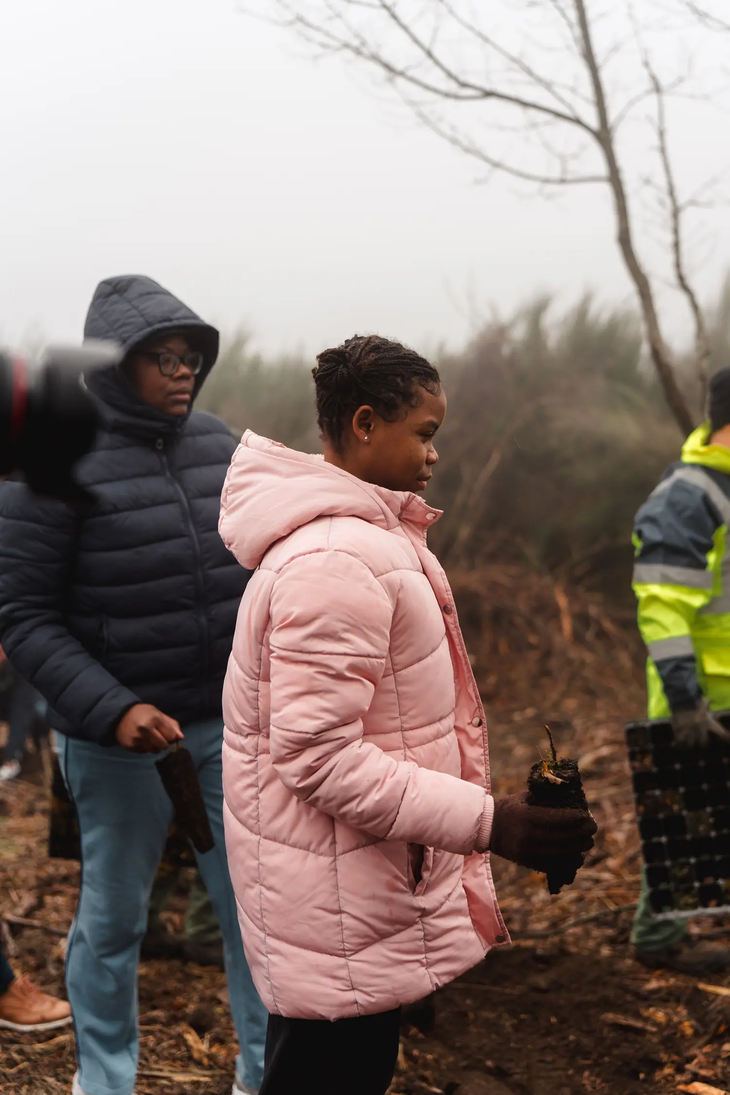 Vila Galé convida a reflorestar a Serra da Estrela