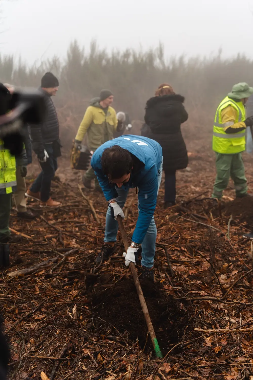 Vila Galé convida a reflorestar a Serra da Estrela