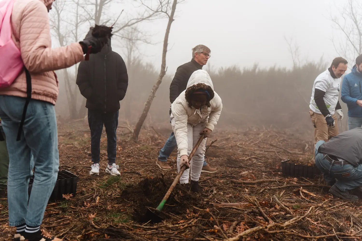 Vila Galé convida a reflorestar a Serra da Estrela