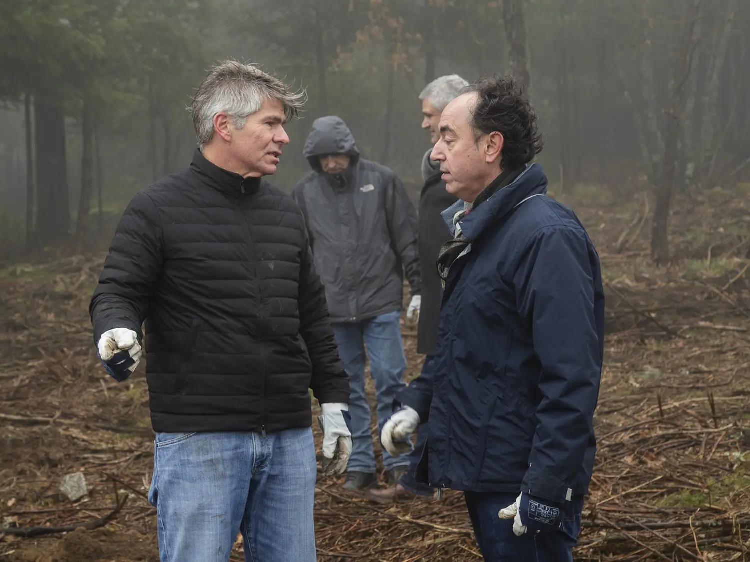 Vila Galé convida a reflorestar a Serra da Estrela