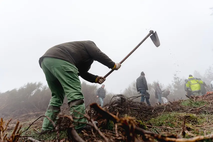 Vila Galé convida a reflorestar a Serra da Estrela
