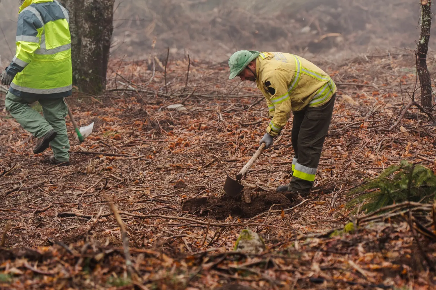 Vila Galé convida a reflorestar a Serra da Estrela