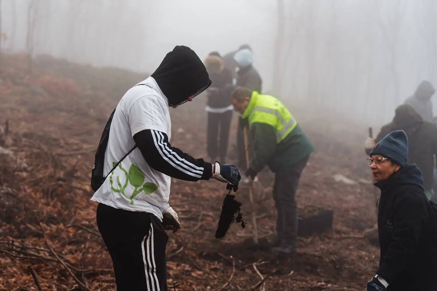 Vila Galé convida a reflorestar a Serra da Estrela