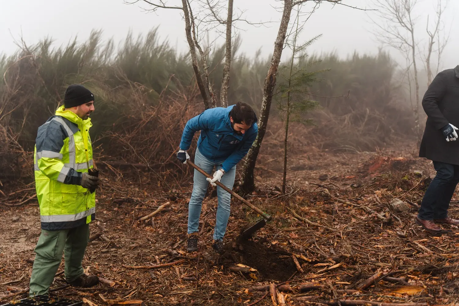 Vila Galé convida a reflorestar a Serra da Estrela