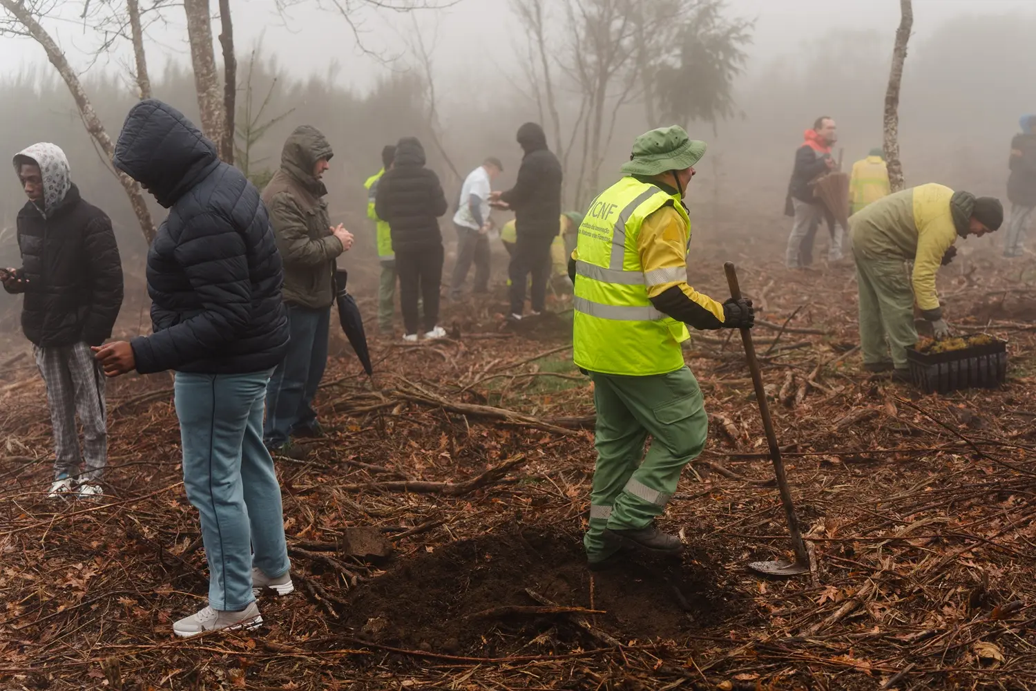 Vila Galé convida a reflorestar a Serra da Estrela