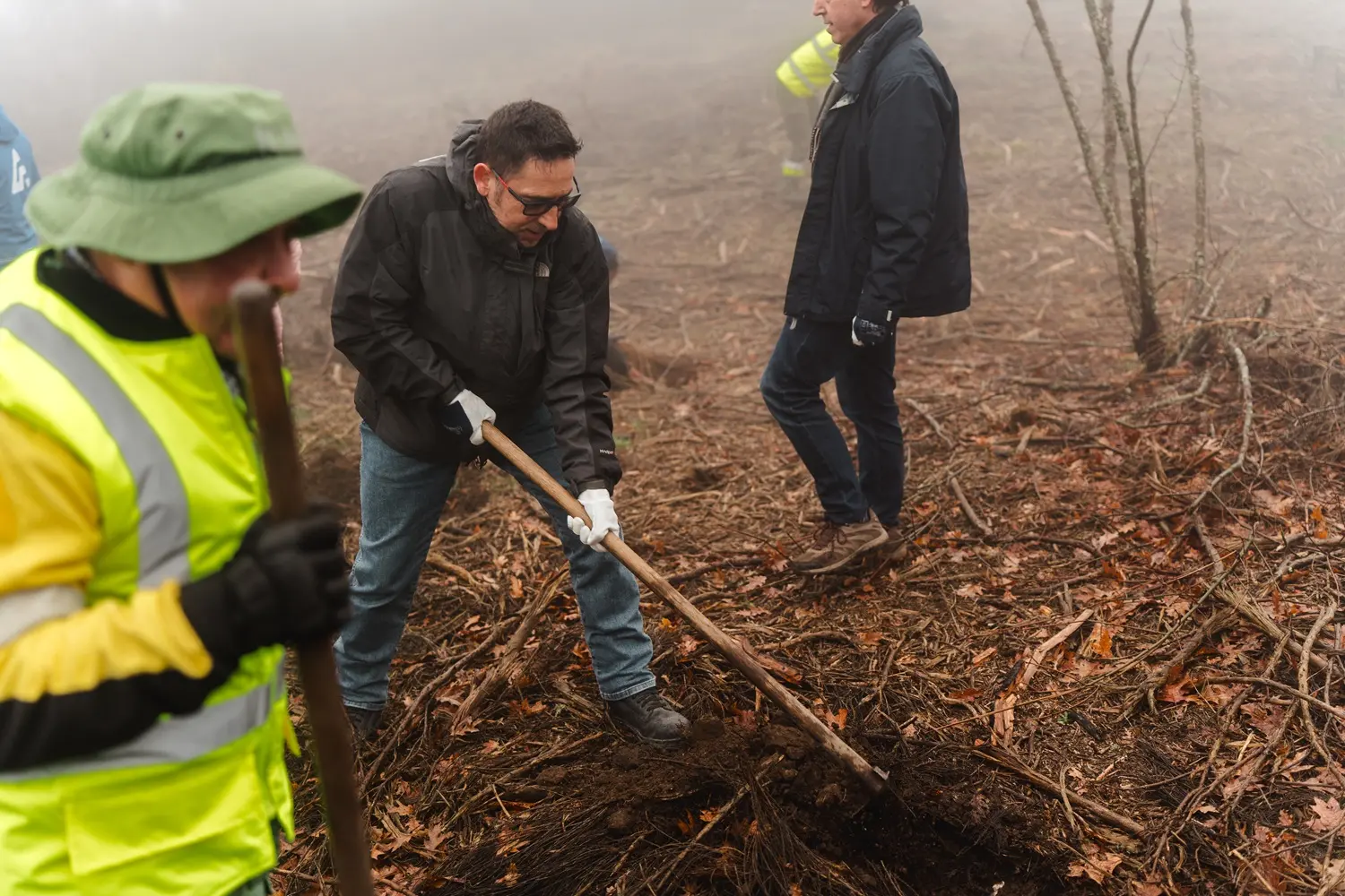 Vila Galé convida a reflorestar a Serra da Estrela