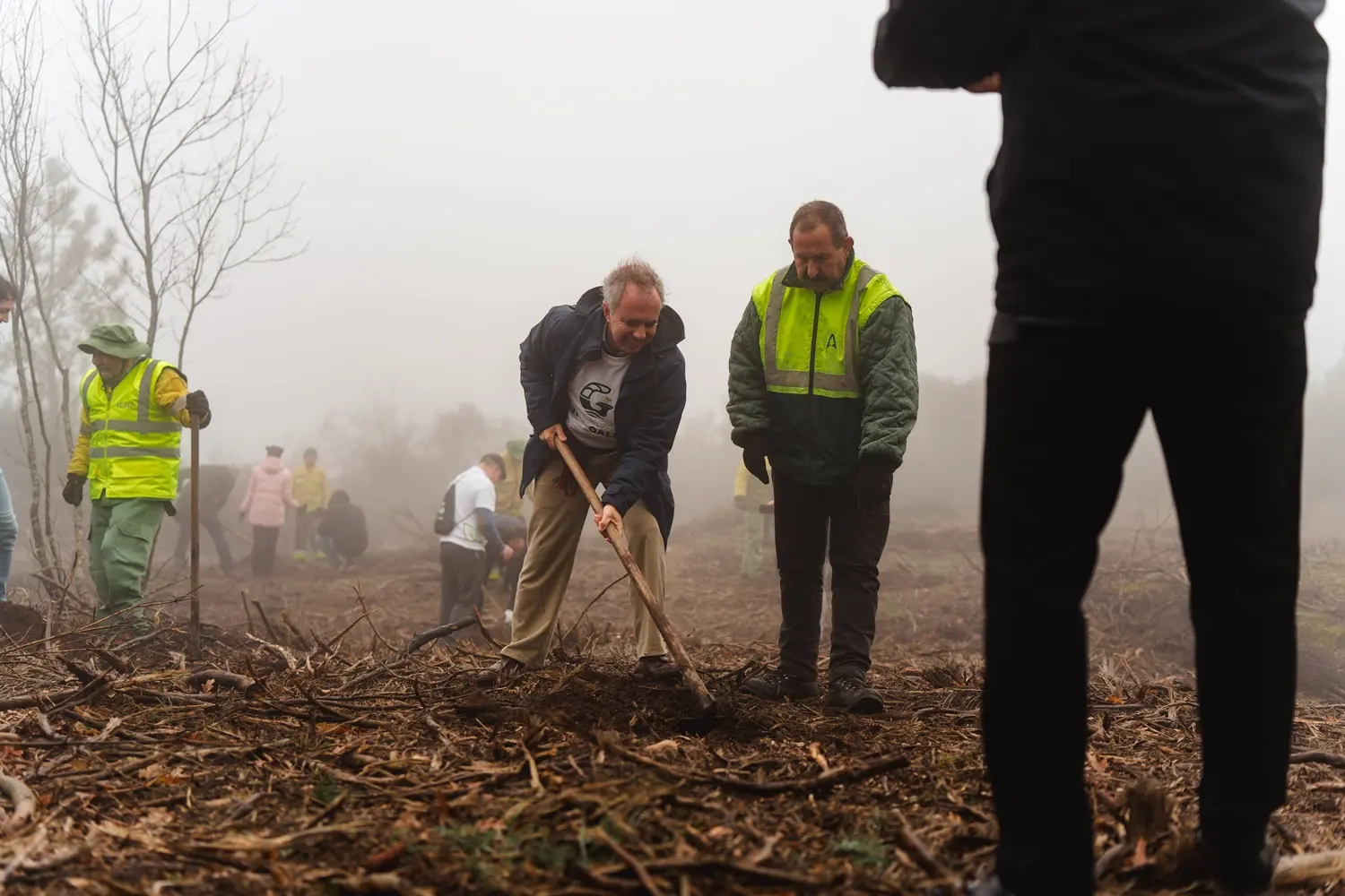 Vila Galé convida a reflorestar a Serra da Estrela