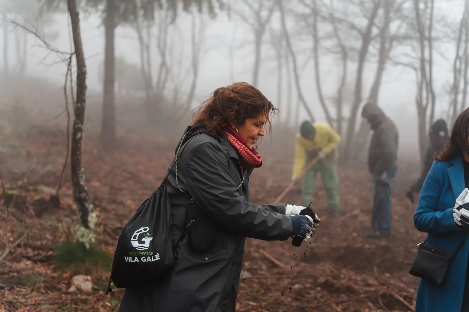Vila Galé convida a reflorestar a Serra da Estrela