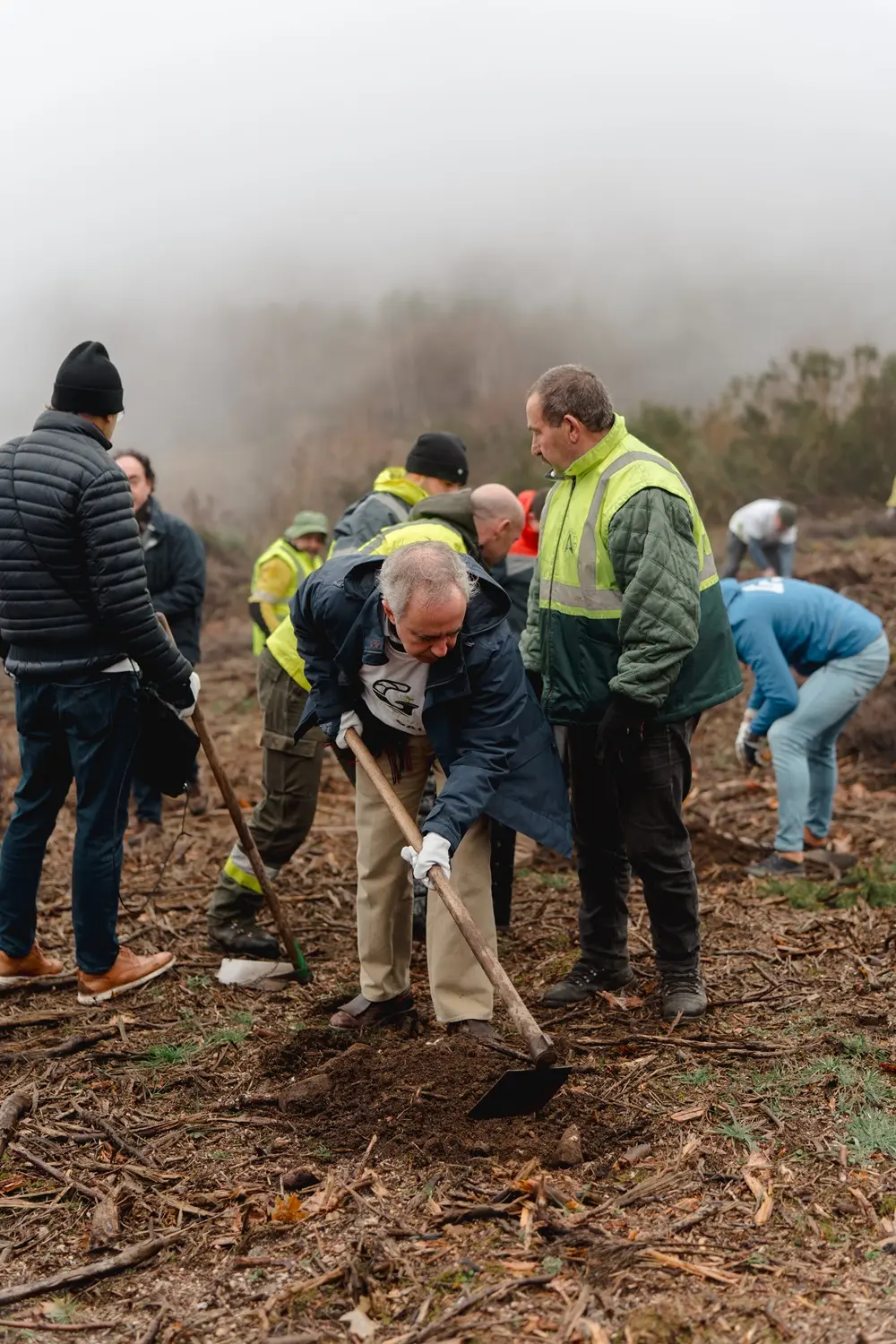 Vila Galé convida a reflorestar a Serra da Estrela