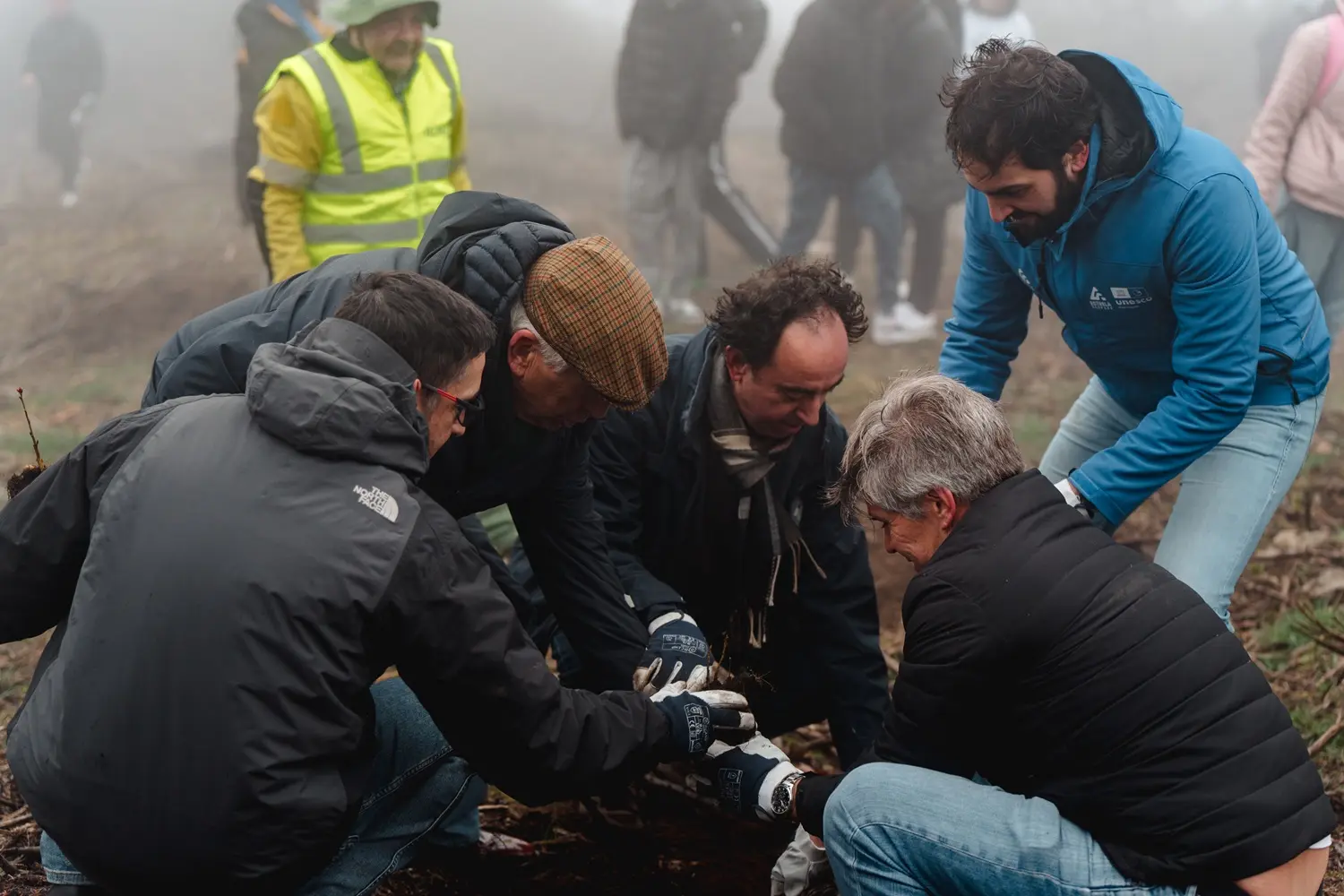 Vila Galé convida a reflorestar a Serra da Estrela
