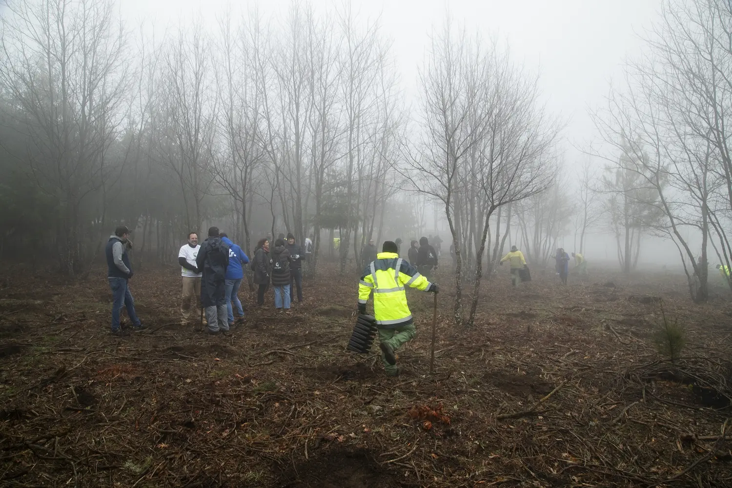 Vila Galé convida a reflorestar a Serra da Estrela