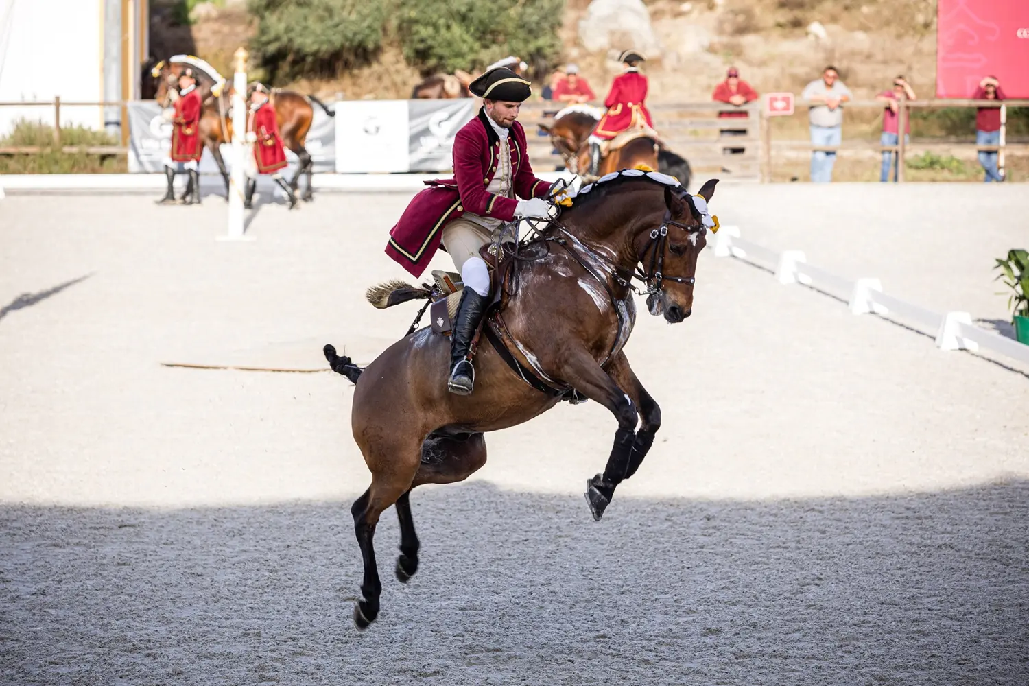 Vila Galé reforça aposta no turismo equestre