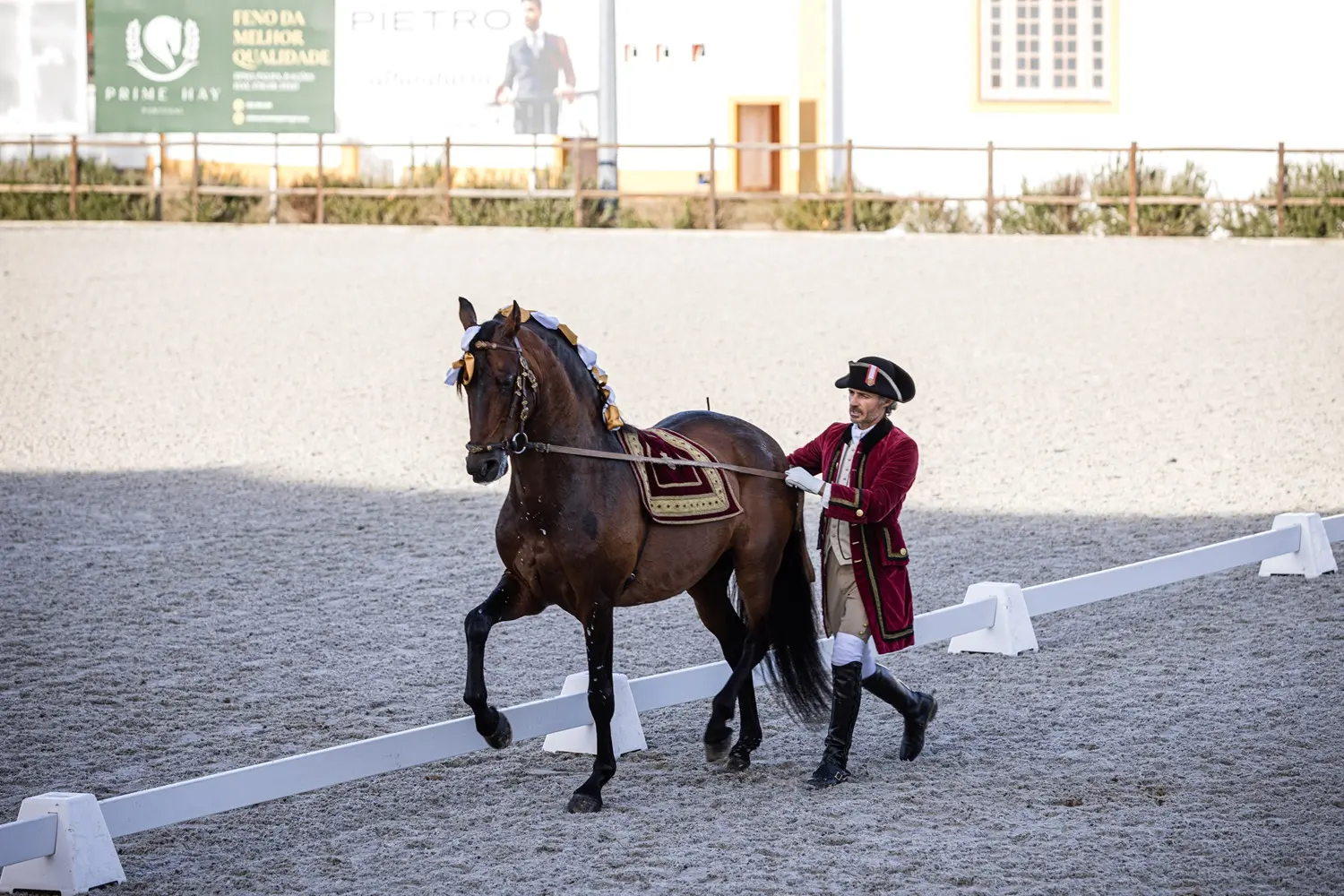Vila Galé reforça aposta no turismo equestre