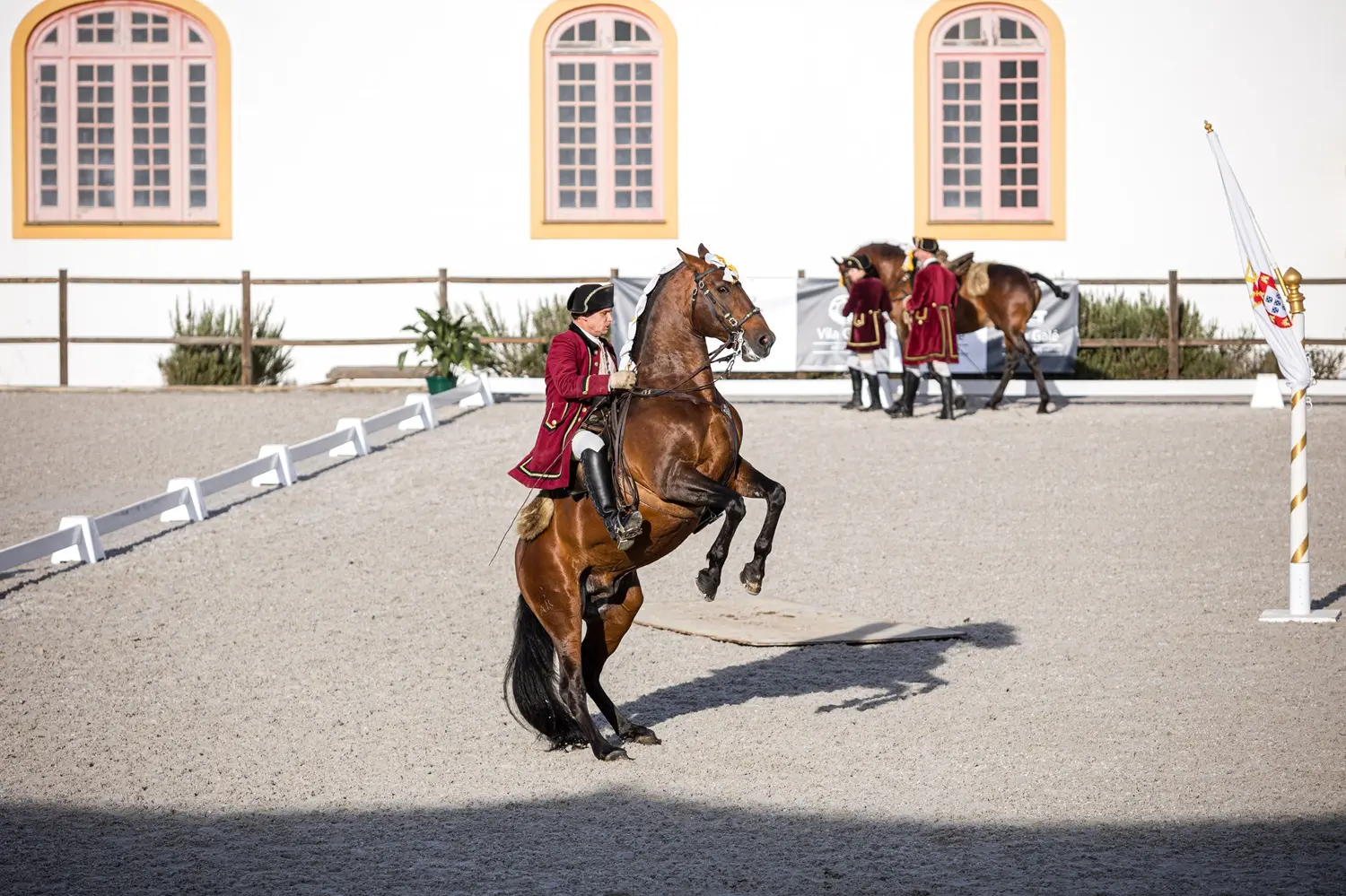 Vila Galé reforça aposta no turismo equestre
