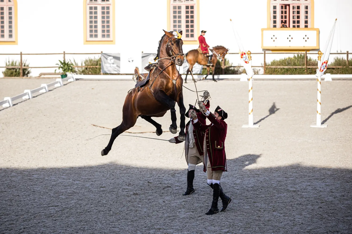 Vila Galé reforça aposta no turismo equestre