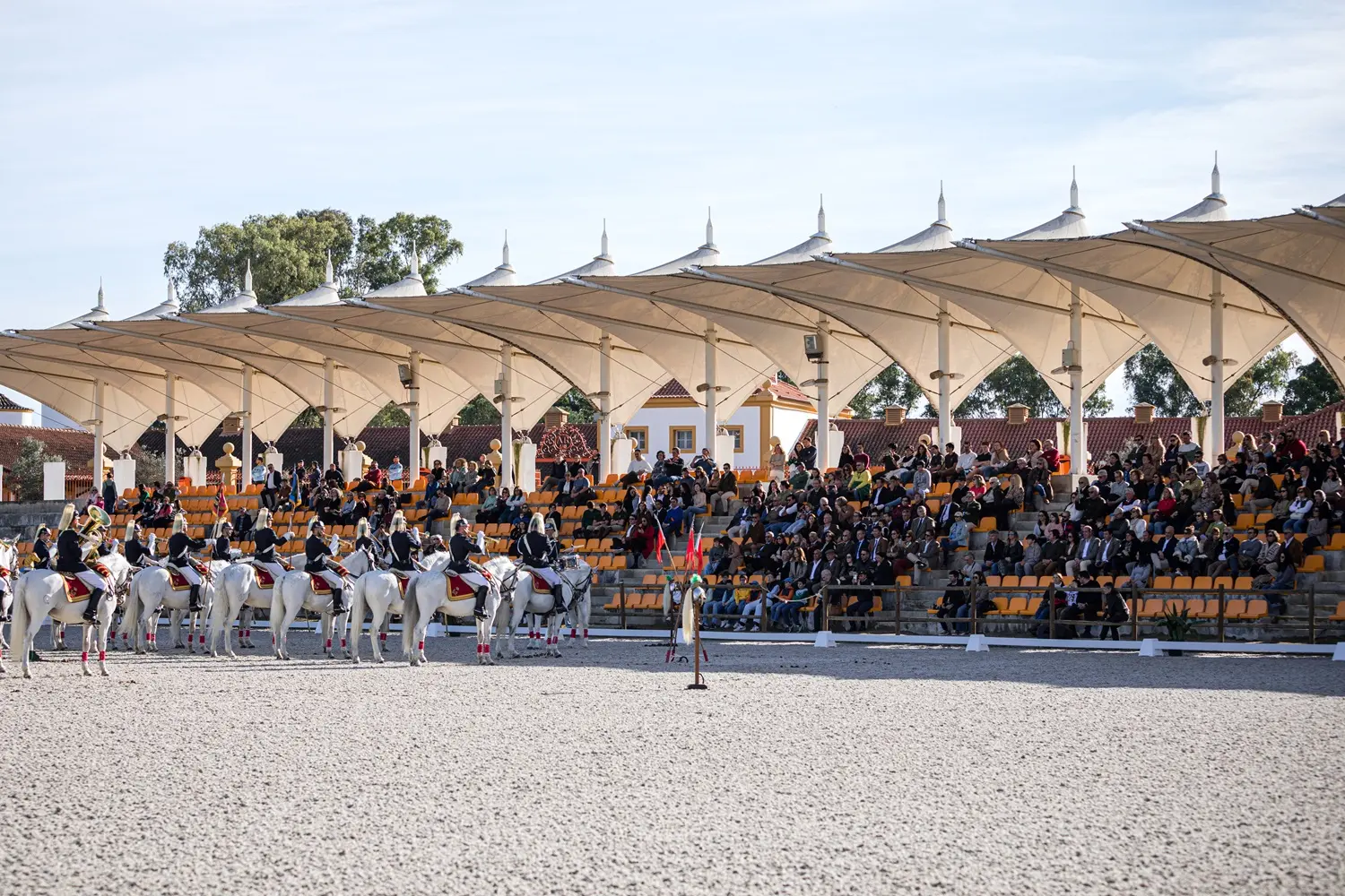 Vila Galé reforça aposta no turismo equestre